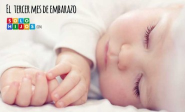 Tu hijo en el tercer mes de embarazo: desarrollo