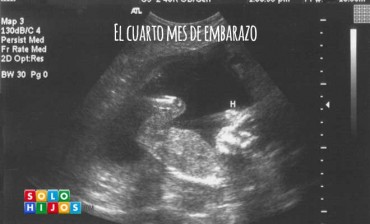 Tu hijo en el cuarto mes de embarazo: perfeccionando funciones