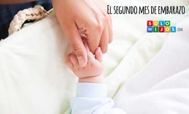 Tu hijo en el segundo mes de embarazo: de embrión a feto